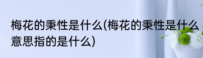 梅花的秉性是什么(梅花的秉性是什么意思指的是什么)