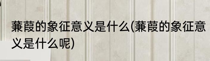 蒹葭的象征意义是什么(蒹葭的象征意义是什么呢)