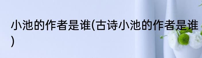 小池的作者是谁(古诗小池的作者是谁)