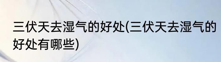 三伏天去湿气的好处(三伏天去湿气的好处有哪些)