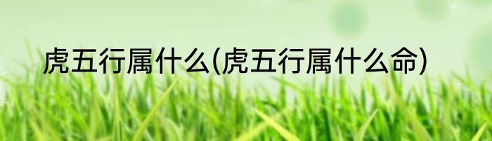 虎五行属什么(虎五行属什么命)