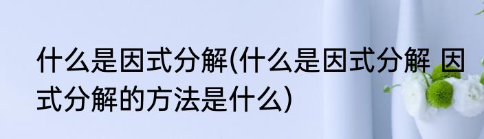 什么是因式分解(什么是因式分解 因式分解的方法是什么)