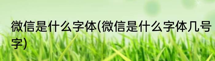 微信是什么字体(微信是什么字体几号字)