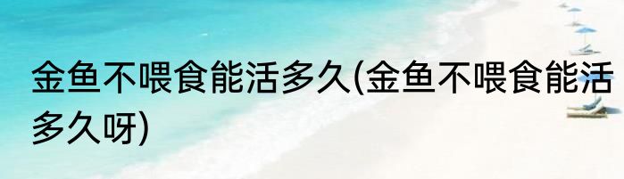 金鱼不喂食能活多久(金鱼不喂食能活多久呀)