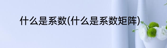 什么是系数(什么是系数矩阵)