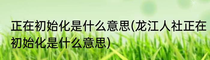 正在初始化是什么意思(龙江人社正在初始化是什么意思)