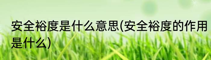 安全裕度是什么意思(安全裕度的作用是什么)