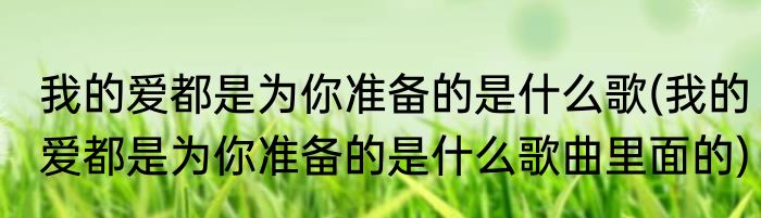 我的爱都是为你准备的是什么歌(我的爱都是为你准备的是什么歌曲里面的)