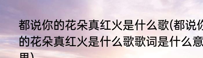 都说你的花朵真红火是什么歌(都说你的花朵真红火是什么歌歌词是什么意思)