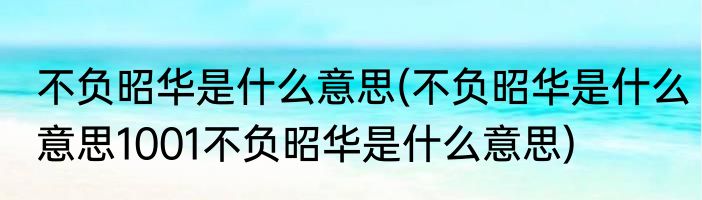 不负昭华是什么意思(不负昭华是什么意思1001不负昭华是什么意思)