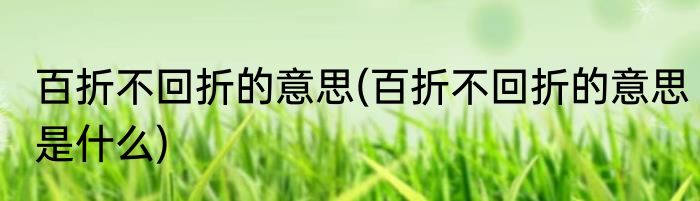 百折不回折的意思(百折不回折的意思是什么)