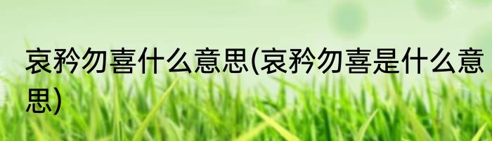 哀矜勿喜什么意思(哀矜勿喜是什么意思)