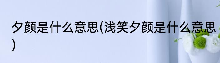 夕颜是什么意思(浅笑夕颜是什么意思)