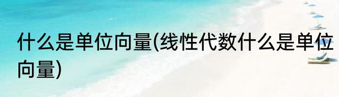 什么是单位向量(线性代数什么是单位向量)