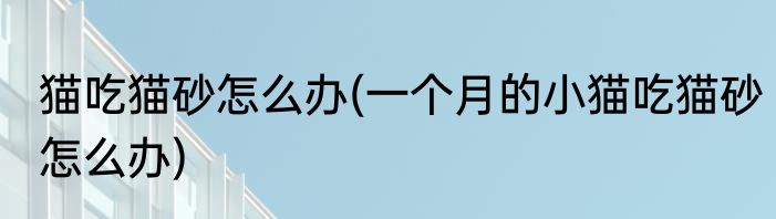 猫吃猫砂怎么办(一个月的小猫吃猫砂怎么办)