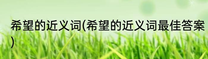 希望的近义词(希望的近义词最佳答案)