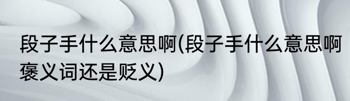 段子手什么意思啊(段子手什么意思啊褒义词还是贬义)