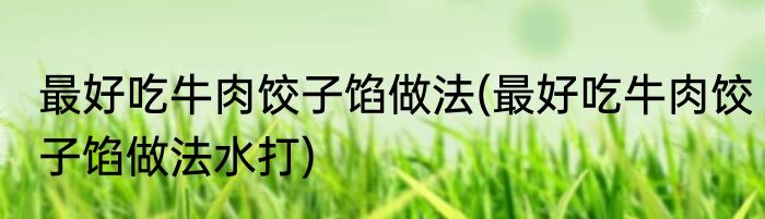 最好吃牛肉饺子馅做法(最好吃牛肉饺子馅做法水打)