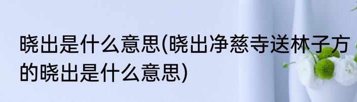 晓出是什么意思(晓出净慈寺送林子方的晓出是什么意思)