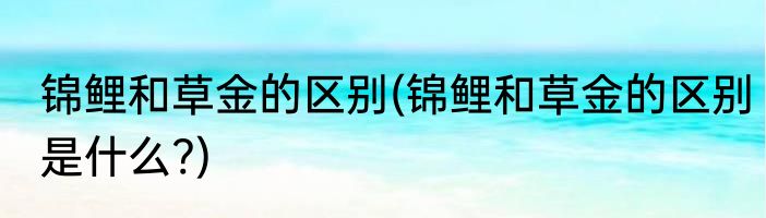 锦鲤和草金的区别(锦鲤和草金的区别是什么?)