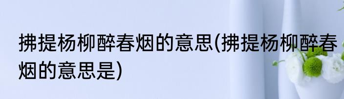 拂提杨柳醉春烟的意思(拂提杨柳醉春烟的意思是)