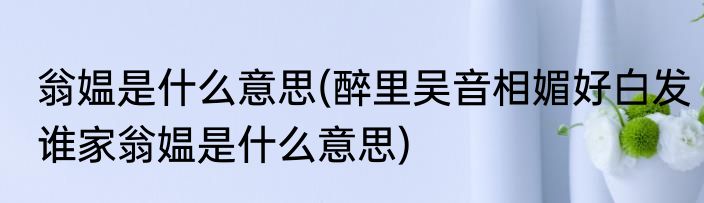 翁媪是什么意思(醉里吴音相媚好白发谁家翁媪是什么意思)