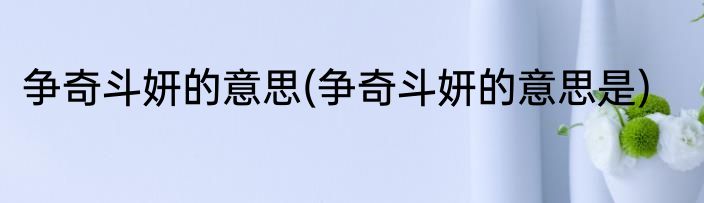 争奇斗妍的意思(争奇斗妍的意思是)