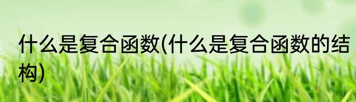 什么是复合函数(什么是复合函数的结构)
