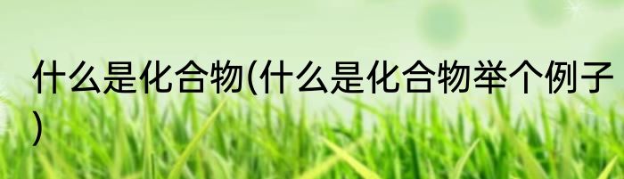 什么是化合物(什么是化合物举个例子)