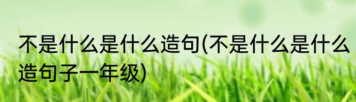 不是什么是什么造句(不是什么是什么造句子一年级)