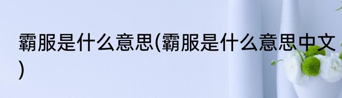 霸服是什么意思(霸服是什么意思中文)