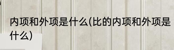 内项和外项是什么(比的内项和外项是什么)