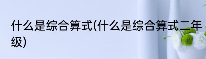 什么是综合算式(什么是综合算式二年级)