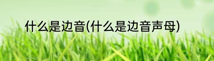 什么是边音(什么是边音声母)