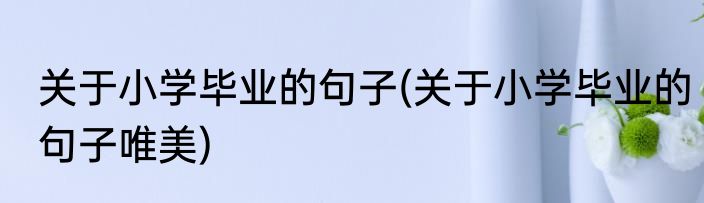 关于小学毕业的句子(关于小学毕业的句子唯美)