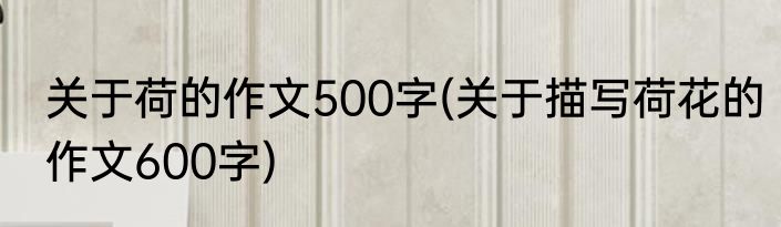 关于荷的作文500字(关于描写荷花的作文600字)