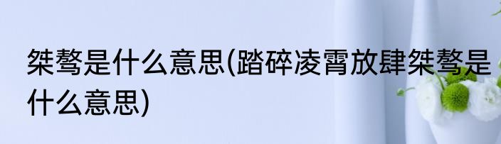 桀骜是什么意思(踏碎凌霄放肆桀骜是什么意思)