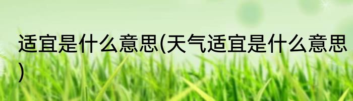 适宜是什么意思(天气适宜是什么意思)