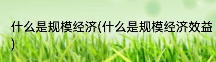 什么是规模经济(什么是规模经济效益)