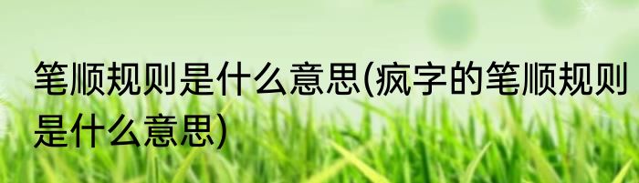 笔顺规则是什么意思(疯字的笔顺规则是什么意思)