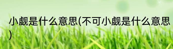 小觑是什么意思(不可小觑是什么意思)