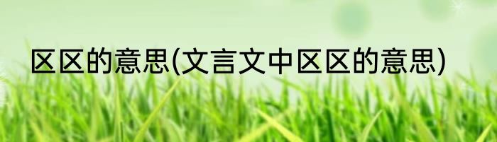 区区的意思(文言文中区区的意思)