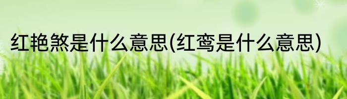 红艳煞是什么意思(红鸾是什么意思)