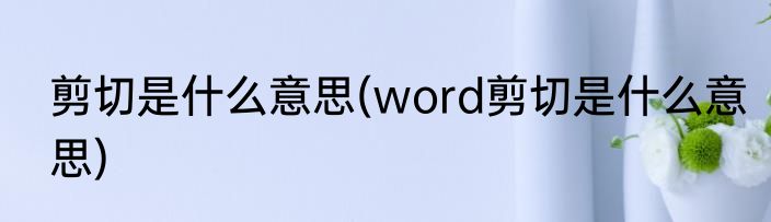 剪切是什么意思(word剪切是什么意思)