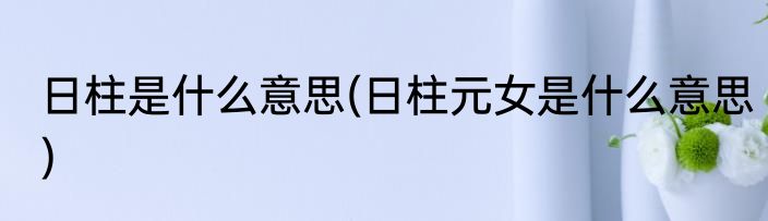 日柱是什么意思(日柱元女是什么意思)