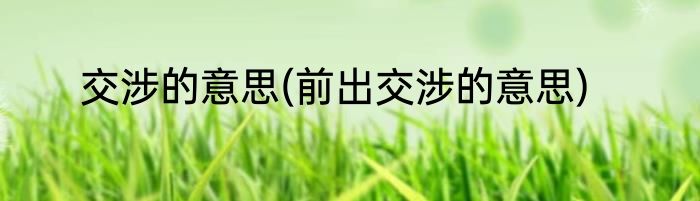 交涉的意思(前出交涉的意思)