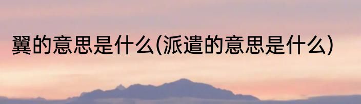 翼的意思是什么(派遣的意思是什么)