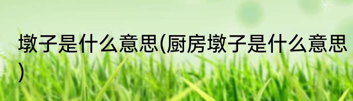 墩子是什么意思(厨房墩子是什么意思)