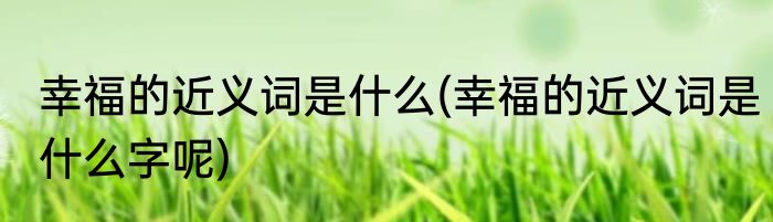 幸福的近义词是什么(幸福的近义词是什么字呢)