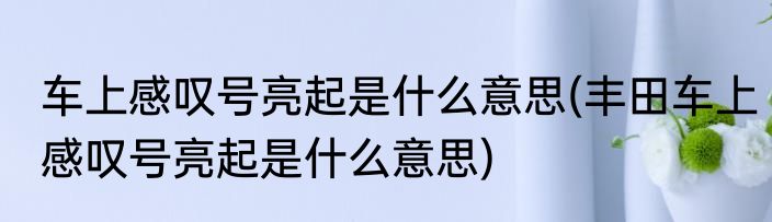 车上感叹号亮起是什么意思(丰田车上感叹号亮起是什么意思)